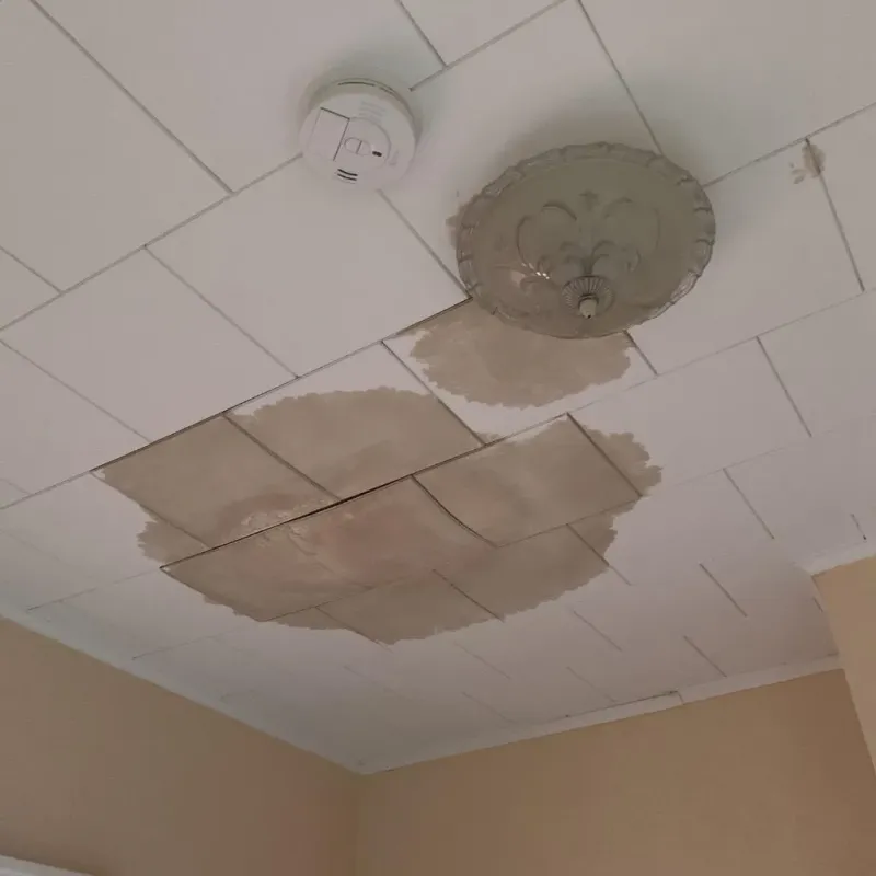 Ceiling Water Damage Repair in Forks, WA