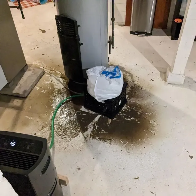 Sewage Backup Cleanup Service in Forks, WA